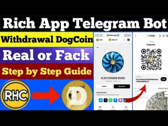 Rich App Telegram Bot |Rich App echt oder gefälscht |Doge Coin Mine in Rich App #dogecoin #doge #taptoearn