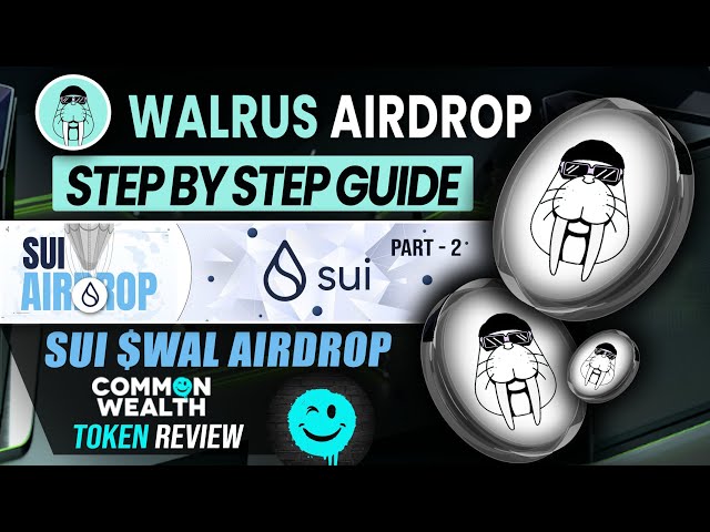 $SUI Blockchain Testnet Airdrop – Step-by-Step Guide to Walrus Airdrop - Part 2 ( WLTH Token review)