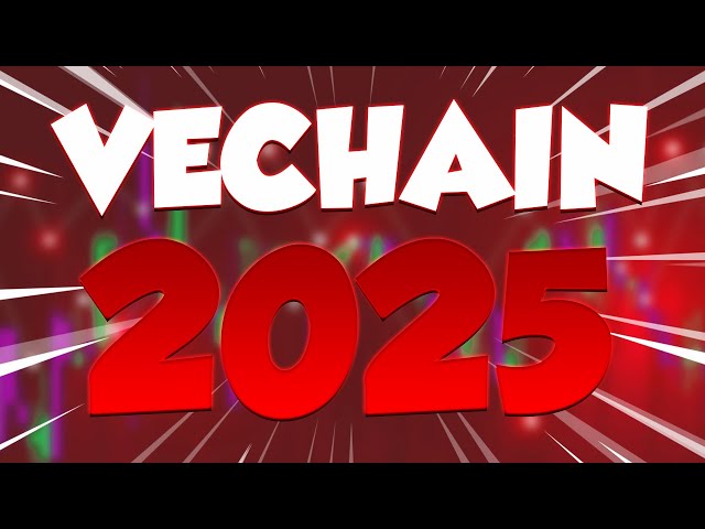 今年的 VET 将会给大家带来惊喜 - VECHAIN 价格预测和更新