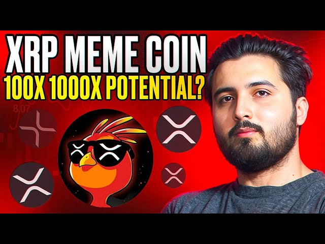 XRP MEME COIN 1000X POTENTIEL 2025