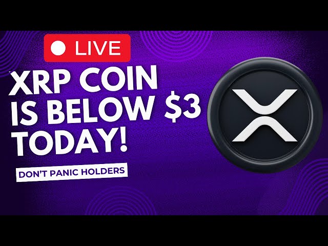 XRP Ripple Livestream -XRP Ripple Coin倾倒$ 3 XRP！ XRP硬币最新新闻和分析！