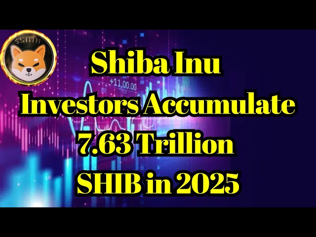 破壞硬幣| Shiba INU投資者在2025年累積了763萬億個芯片