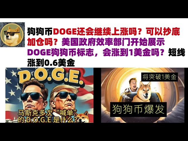 狗狗幣DOGE還會繼續上漲嗎？可以抄底加倉嗎？美國政府效率部門開始展示DOGE狗狗幣標誌，會漲到1美金嗎？短線漲到0.6美金#DOGE幣#馬斯克狗狗幣#DOGE行情分析