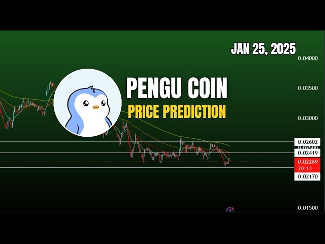 Pengu硬幣價格預測| Pengu Crypto Rally 2月？加密信號2025年1月25日