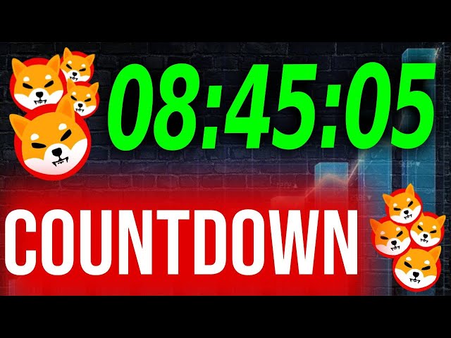 SHIBA INU ANNOUNCEMENT JUST MADE!! BOMBSHELL DROPPED! - SHIBA INU COIN NEWS TODAY