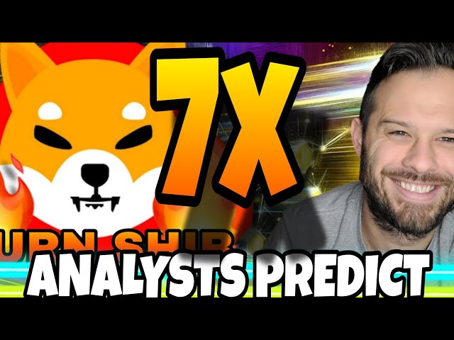 Shiba Inu Coin | Analysts Are Extremely Bullish With 7x SHIB Potential!