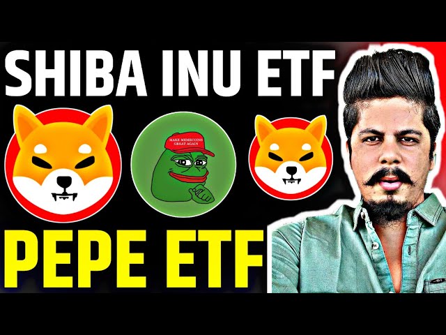 Shibi dans et ETF de pipe