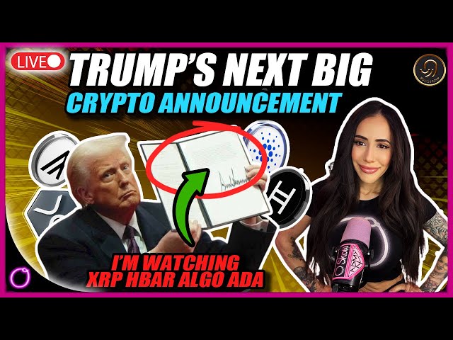 トランプの次の大きな暗号発表は今日？！ （XRP HBAR ALGO ADAを見ています）