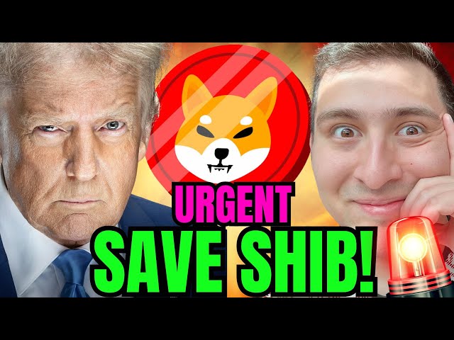 Is TRUMP HOLDING SHIBA INU?! (Watch Before Selling SHIB)