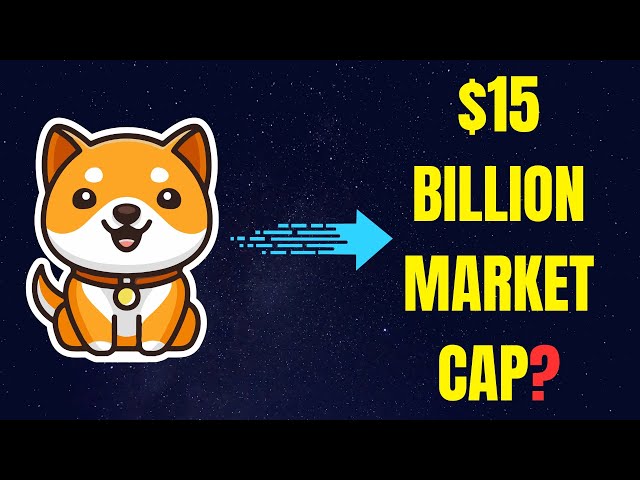 Baby Doge Coin: 15 milliards de dollars Capacité boursière raisonnable ce taureau? | Baby Doge Coin Prix Prediction