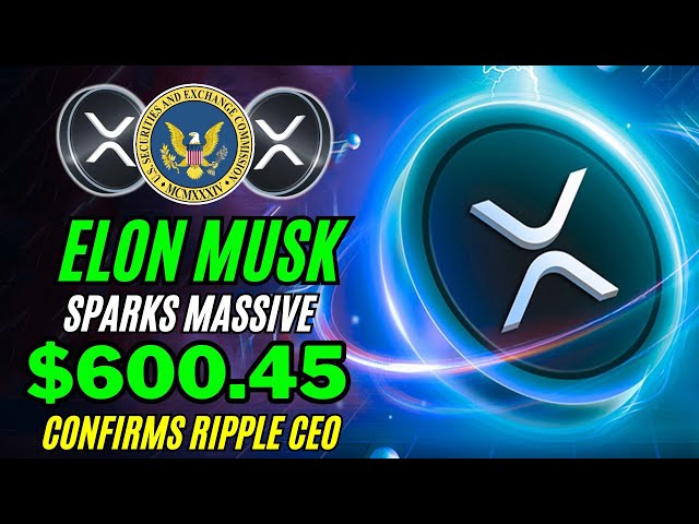 Elon Musk Sparks巨額$ 600 45 XRP Suger - Ripple首席執行官確認爆炸泵！ XRP新聞今天