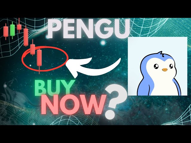 Pengu Coin Insight🚨: | Pengu -Preisvorhersage | Pengu Technical Analysis News 2025