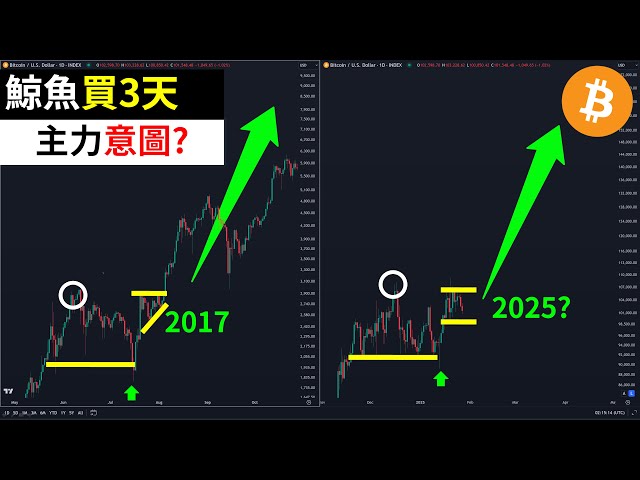 비트 코인 거대한 고래는 3 일 동안 팔렸습니까? BTC의 주요 의도? 2025 년에 어디서 살 수 있나요?