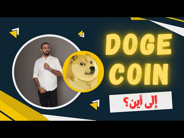 Doge Coin🔥上に行きますか？ didical最高のデジタル投資通貨2025