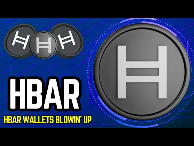 Hedera HBAR Wallets Are Blowing Up – Is It a HBAR Party or Just a Token Holders' Panic