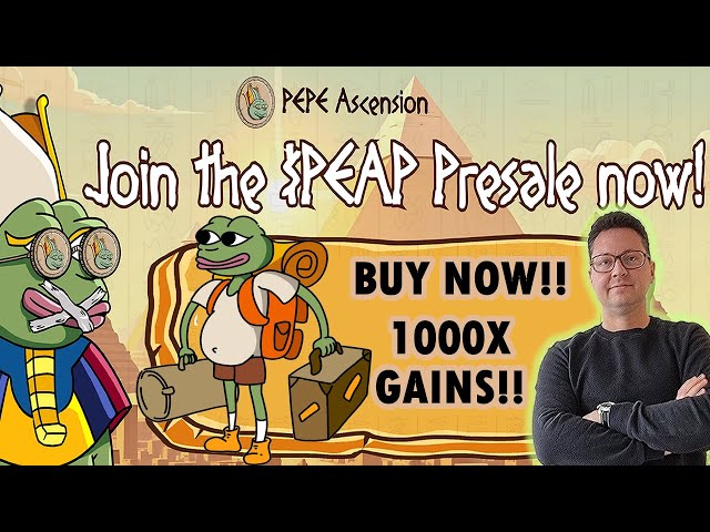 새로운 Pepe Ascension Meme Coin Hype가 상승하고 있습니다 !! 큰 이익 잠재력을 위해 지금 구입하십시오 !!