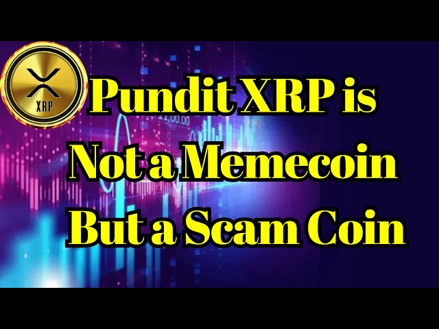 XRP News | Experte, XRP ist kein Memecoin, sondern eine Betrugsmünze