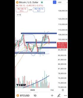 Cheds Trading