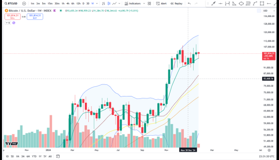 Cheds Trading