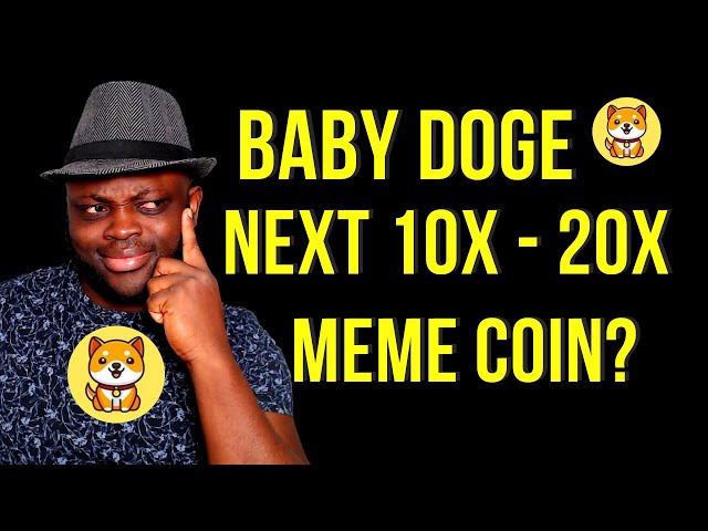 Baby Doge Coin: La pièce de mèmes 10x suivante - 20x?