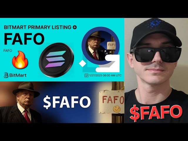 $FAFO - FAFO TOKEN CRYPTO COIN HOW TO BUY TRUMP SOLANA MEMECOIN ELON BITMART XT SOL RAYDIUM JUPITER