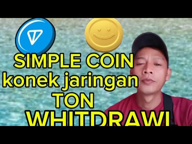 Simple Coin TonおよびWhitdrawl Network Connect