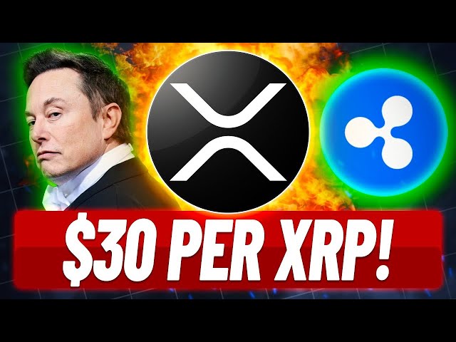 Les détenteurs de XRP se préparent pour une bombe à 30 $ + XRP - Elon Musk crypto