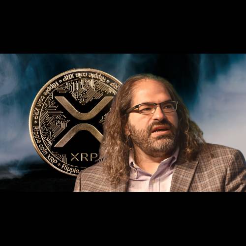 Pierre Rochard와 함께 More Maxis의 XRP에 대한 일련의 공격