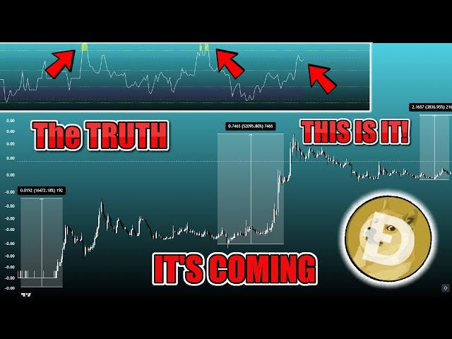 🚨 $ 1 Bull Run Top 1ostom!? Alt Season Doge 펌프? 2025 년 Dogecoin Bullrun 펌프가 매우 가깝습니까?