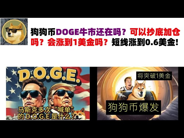 Le marché taureau Dog Coin Doge est-il toujours là? Puis-je copier ma position? Cela atteindra-t-il 1 $? À court terme, passant à 0,6 dollars américains #Doge devise # Musk Dog Coin #Doge Market Analysis