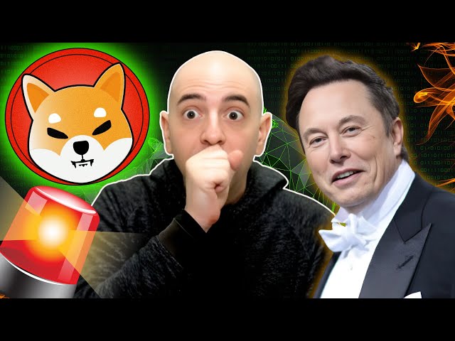 埃隆·马斯克（Elon Musk）有着巨大的新闻！ Shiba Inu这个BS让我生气！