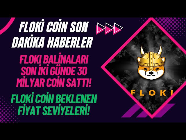 弗洛基投资者的关注！ Floki Coin Breaking News | Floki硬币分析| adpanel