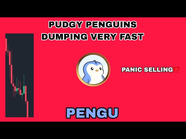 Pengu硬币在2025年很快倾倒了！Qu