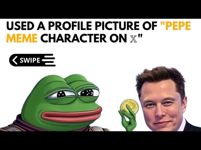 Pepe Coin과 Elon Musk # #scriptovalute #finance #pepecoin