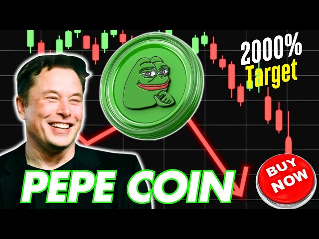 Pepe Coin : 2025 년 2,000% 이익?! | 다음 Shib & Doge 또는 고래 덤프 수신?