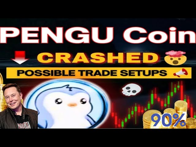 Pudgy Pengu Coinの価格予測2025＆Review | Pengu購入かどうか|ノマン・フィダ