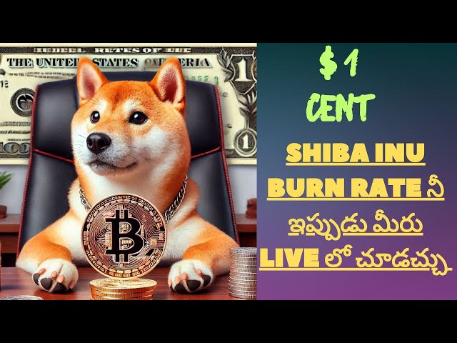 Shiba Inu硬幣| Shiba Inu硬幣燃燒現場更新網站| shiba inu價格預測泰盧固語|希伯