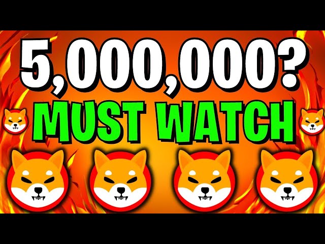 shiba inu新闻今天：如果您持有5.000.000 shib，则必须看到这个！ -Shiba价格预测