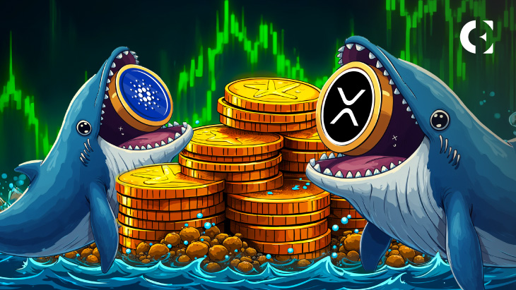 Whales Accumulate Cardano (ADA) and XRP Despite Market Dip, Suggesting a Potential Price Surge