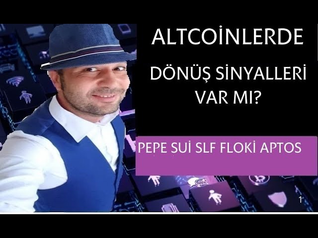 Bitcoin Altcoin Postpartum Pepe Sui Slf Floki Aptos