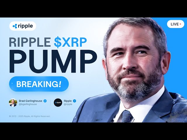 Brad Garlinghouse: RIPPLE BULL RUN CONFIRMED! XRP PRICE PREDICTION