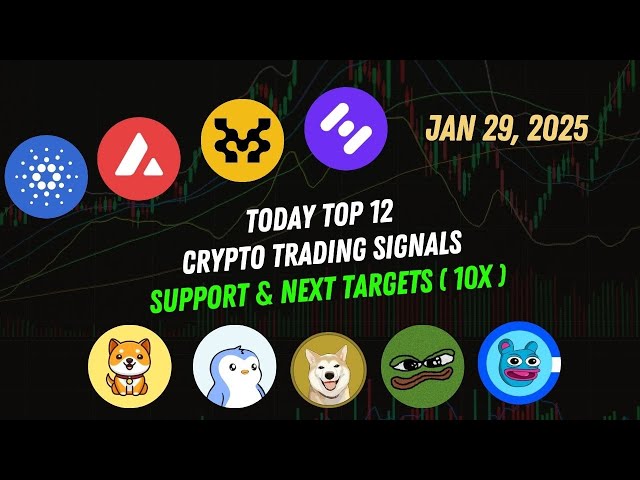 Check out the Top 12 Crypto Trading Signals Shib coin, Spx coin, Floki coin, icp coin Jan 29 2024