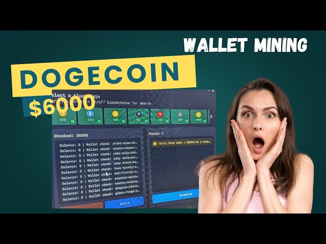 I found a $6000 DOGE coin wallet on Wallet Mining Software.