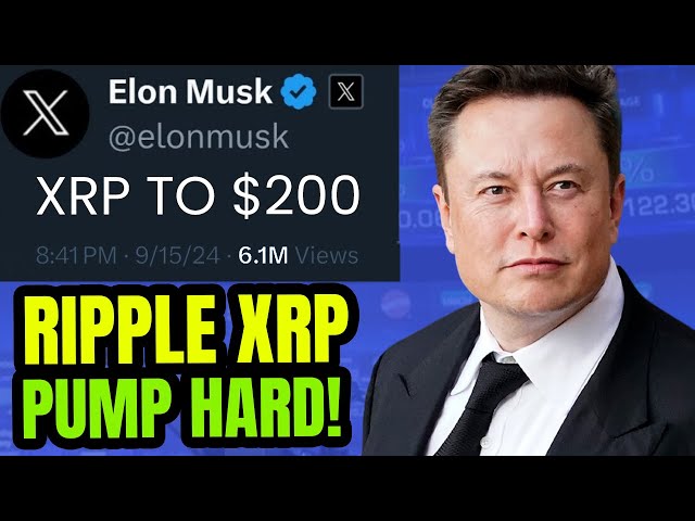 埃隆·马斯克（Elon Musk）谈论XRP！ Longs清算，USDC的大规模印刷品震惊了市场！