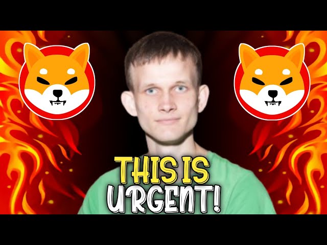 * 비상* Shiba Inu Coin Shib 홀더에 대한 Vitalik Buterin의 최종 경고! -Shib Kai