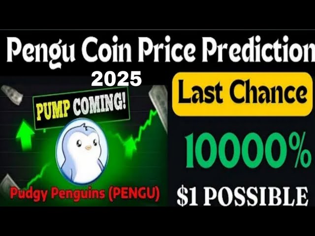 Pudgy Pengu Coinの価格予測2025＆Review | Pengu購入かどうか|ノマン・フィダ