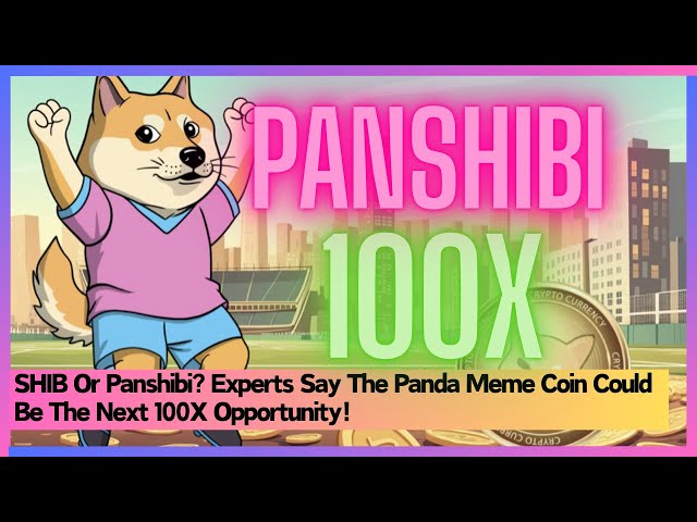 Shib ou Panshibi? Les experts disent que la pièce MEME PANDA pourrait être la prochaine opportunité 100X!