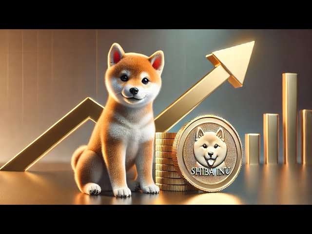 Shiba Inu는 더 이상 농담 토큰이 아닙니다