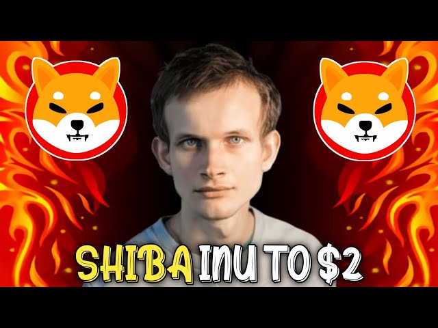 今月のShiba Inu Price Explosionが確認されました!! - シブカイ