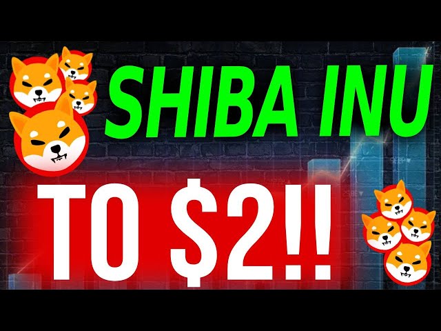 이번 달 Shiba INU 가격 폭발이 확인되었습니다 !! - 오늘 시바 이누 코인 뉴스